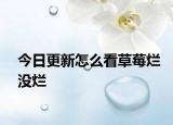 今日更新怎么看草莓烂没烂
