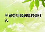 今日更新名词复数是什么