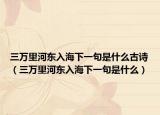 三万里河东入海下一句是什么古诗（三万里河东入海下一句是什么）