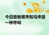 今日更新黑枣和乌枣是一种枣吗