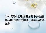 Ipad2充不上电没电了打不开但是显示器上的红色电池一直闪我该怎么办