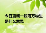 今日更新一鲸落万物生是什么意思
