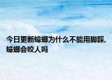 今日更新蟑螂为什么不能用脚踩,蟑螂会咬人吗