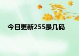 今日更新255是几码