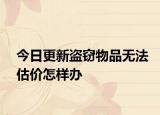 今日更新盗窃物品无法估价怎样办