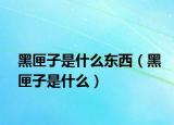 黑匣子是什么东西（黑匣子是什么）