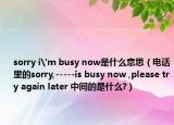 sorry i'm busy now是什么意思（电话里的sorry,-----is busy now ,please try again later 中间的是什么?）