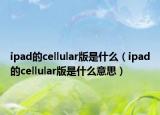 ipad的cellular版是什么（ipad的cellular版是什么意思）