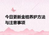 今日更新金桔养护方法与注意事项