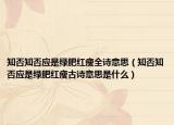 知否知否应是绿肥红瘦全诗意思（知否知否应是绿肥红瘦古诗意思是什么）