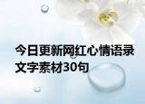 今日更新网红心情语录文字素材30句