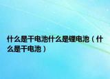 什么是干电池什么是锂电池（什么是干电池）