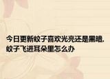 今日更新蚊子喜欢光亮还是黑暗,蚊子飞进耳朵里怎么办