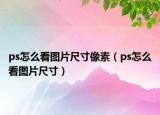 ps怎么看图片尺寸像素（ps怎么看图片尺寸）