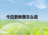 今日更新鑫怎么读