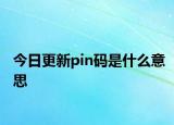 今日更新pin码是什么意思