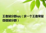 王者掉分群qq（求一个王者荣耀微信掉分群）