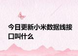 今日更新小米数据线接口叫什么