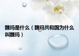 魏玛是什么（魏玛共和国为什么叫魏玛）