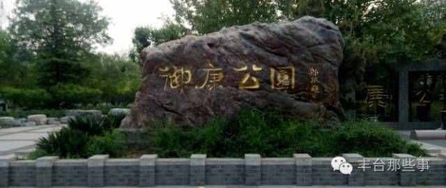 丰台家门口这些公园，统统免费！
