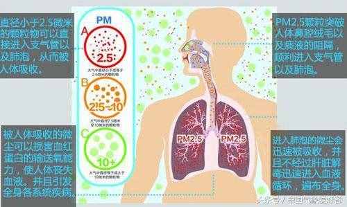 被忽视的空气污染危害：损伤大脑神经，或增加青少年犯罪率！