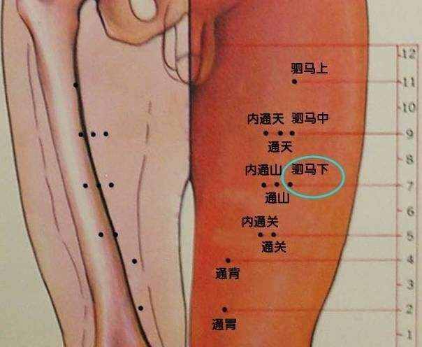 风池穴一个又爱又恨的穴位
