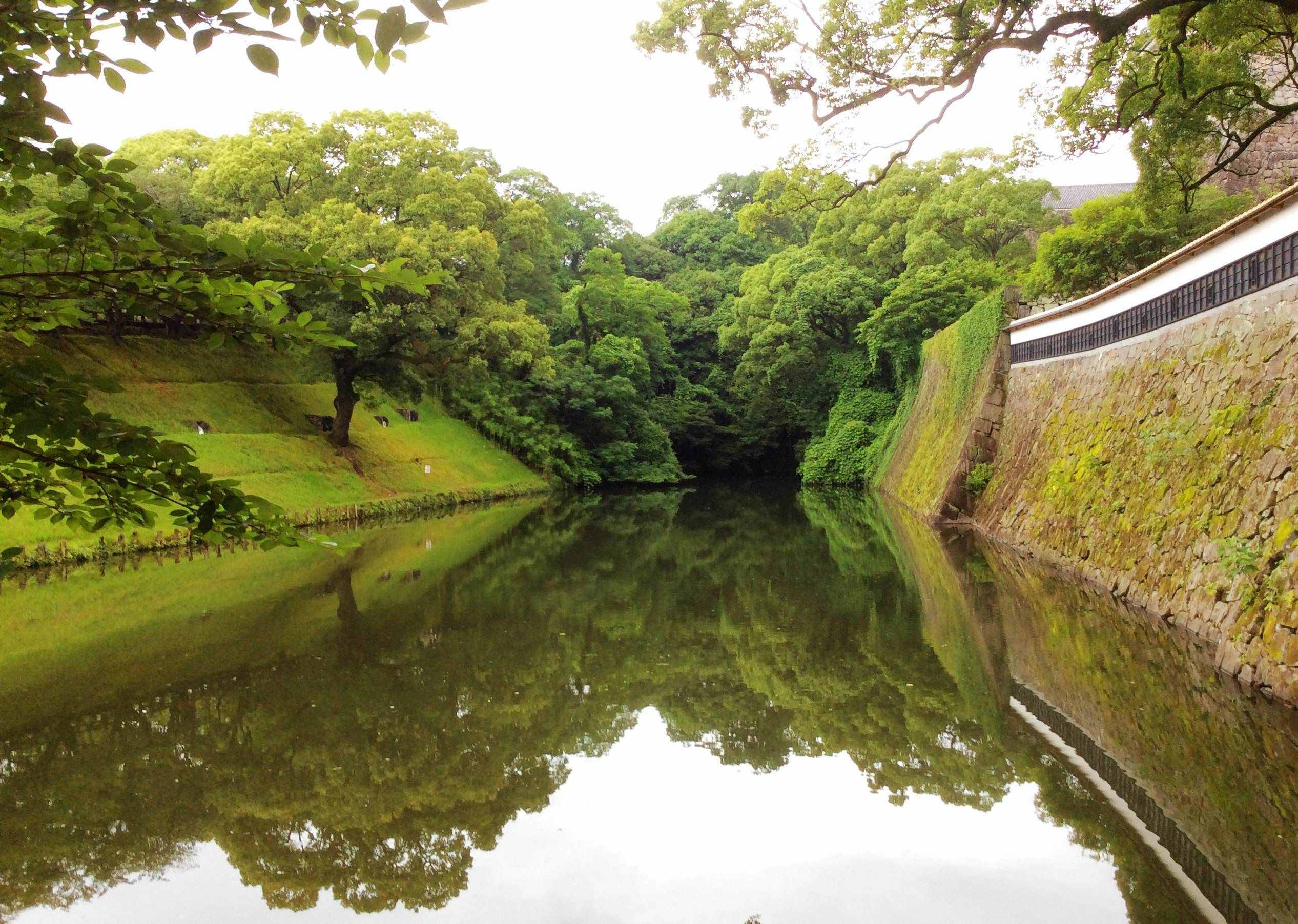 风池穴一个又爱又恨的穴位