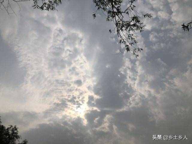 小暑将至,明日逢空,俗语:“日子逢空,万物减半”,是啥意思?