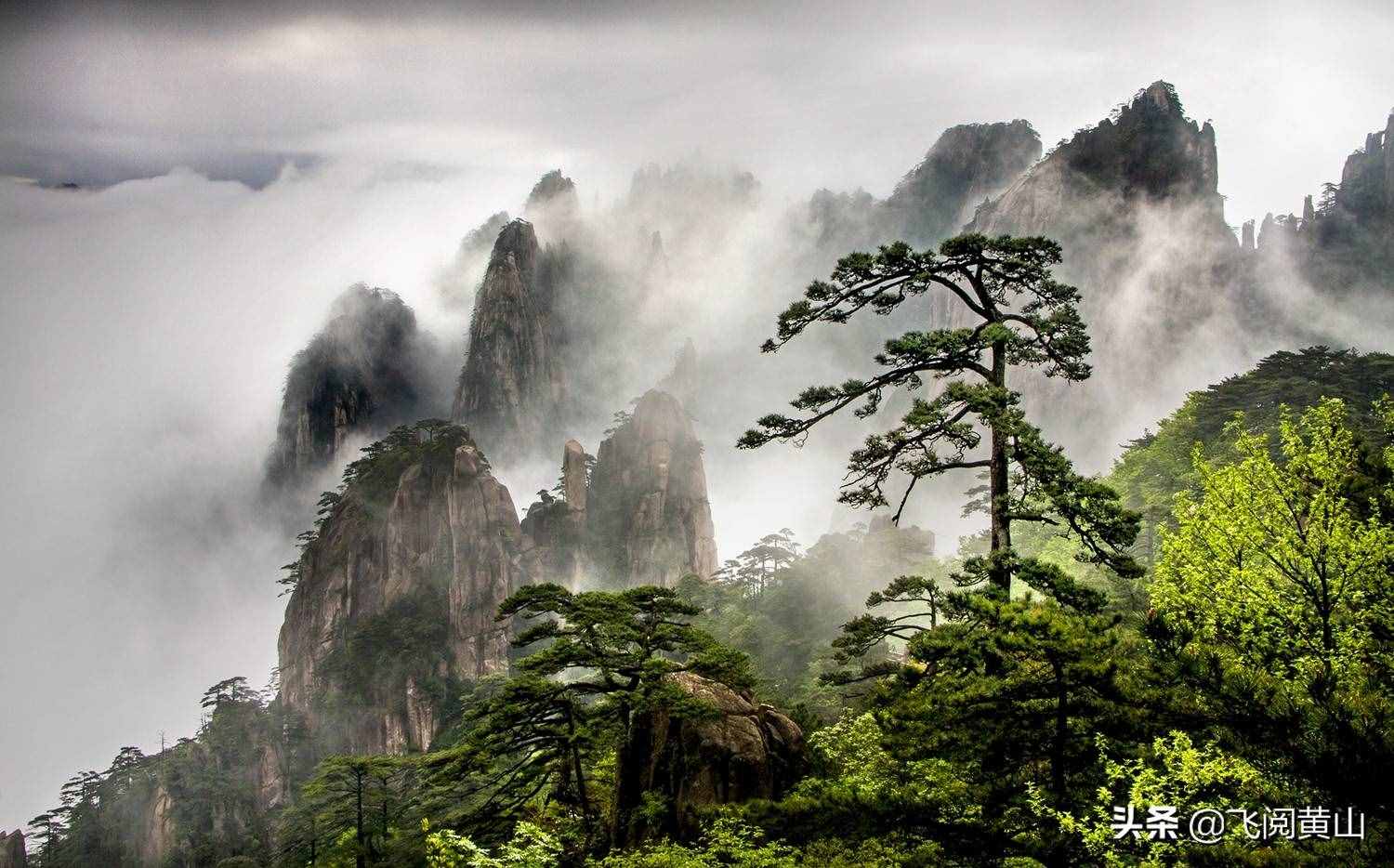 疫情期间，黄山风景区精品线路推荐和信息指南