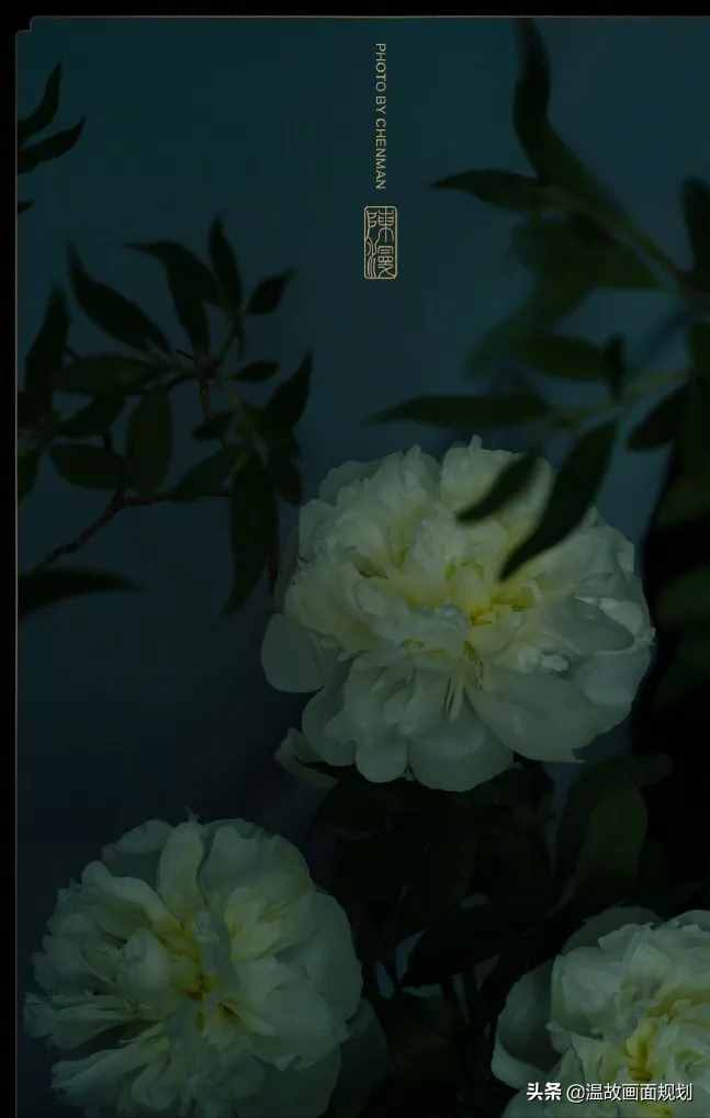 Photoshop人像调色教程：调色不是偏色，怎么调色才专业