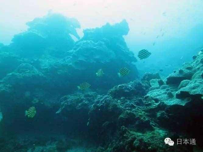 鲜为人知的十大高收入职业，不要错过这些“潜力股”