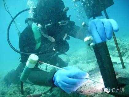 鲜为人知的十大高收入职业，不要错过这些“潜力股”