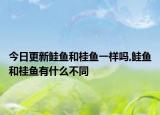 今日更新鲑鱼和桂鱼一样吗,鲑鱼和桂鱼有什么不同