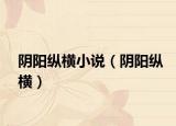 阴阳纵横小说（阴阳纵横）