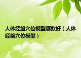 人体经络穴位模型哪款好（人体经络穴位模型）