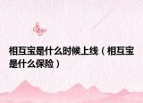 相互宝是什么时候上线（相互宝是什么保险）