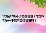 华为gt2听不了微信语音（华为GT2pro不能听微信语音吗）