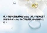 仙人掌球刺扎进皮肤里怎么办（仙人掌的刺扎手里弄不出来怎么办 仙人球的刺扎进肉里面怎么办）