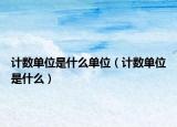 计数单位是什么单位（计数单位是什么）