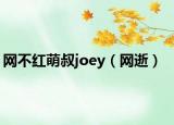 网不红萌叔joey（网逝）