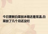 今日更新白菜放冰箱还是常温,白菜放了几个月还没烂