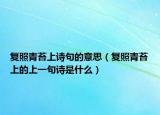 复照青苔上诗句的意思（复照青苔上的上一句诗是什么）