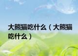 大熊猫吃什么（大熊猫吃什么）