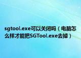 sgtool.exe可以关闭吗（电脑怎么样才能把SGTool.exe去掉）