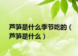 芦笋是什么季节吃的（芦笋是什么）