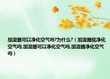 加湿器可以净化空气吗?为什么?（加湿器能净化空气吗,加湿器可以净化空气吗,加湿器净化空气吗）