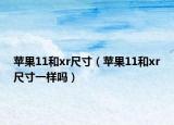 苹果11和xr尺寸（苹果11和xr尺寸一样吗）