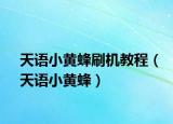 天语小黄蜂刷机教程（天语小黄蜂）