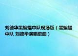 刘德华黑蝙蝠中队现场版（黑蝙蝠中队 刘德华演唱歌曲）