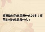 揠苗助长的意思是什么20字（揠苗助长的意思是什么）